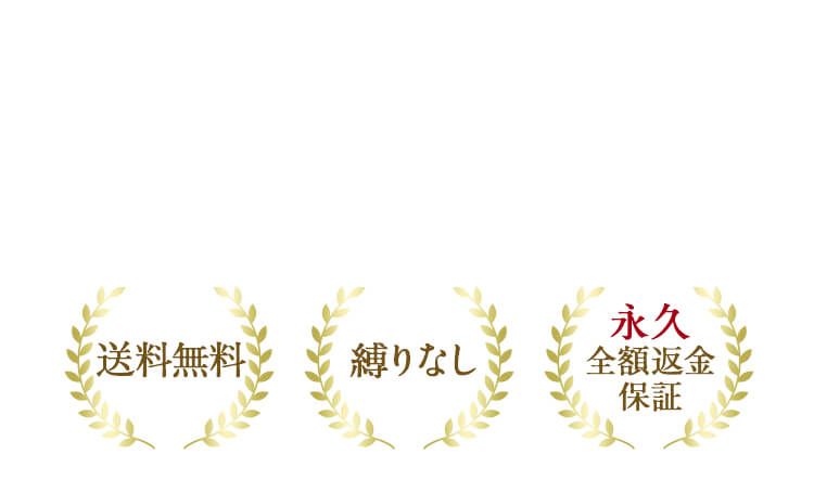 及川奈央さんおすすめ